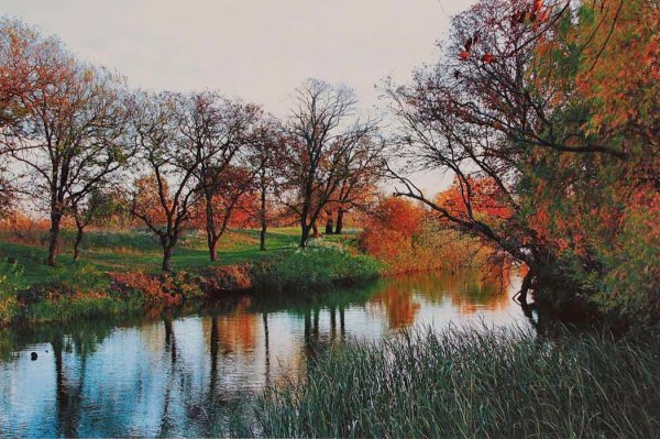 Осень в Сторожевом фото