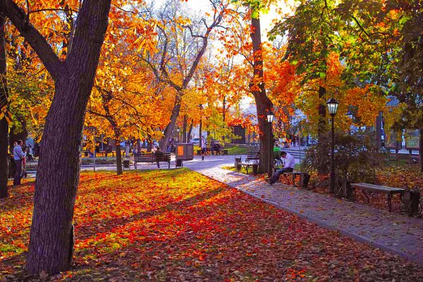 Волгоград храм осень
