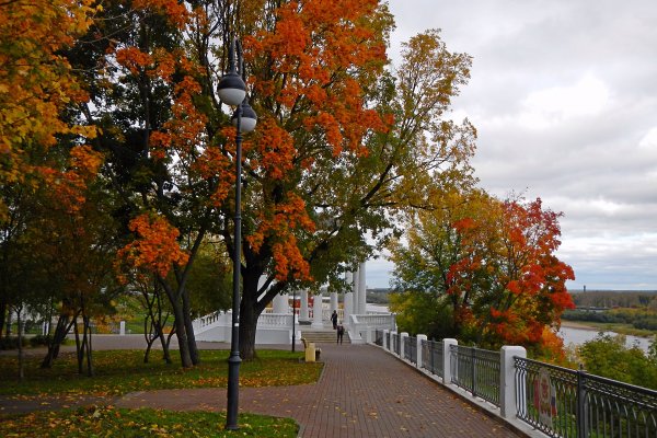 Михайловка Волгоградской области природа в городе