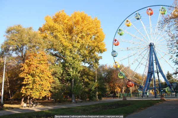 Николина гора природа