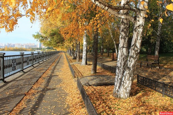 Горпарк осенью Саратов