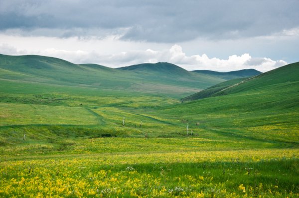 Забайкалье сопки