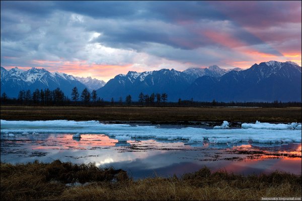 Природа Забайкалья Чара