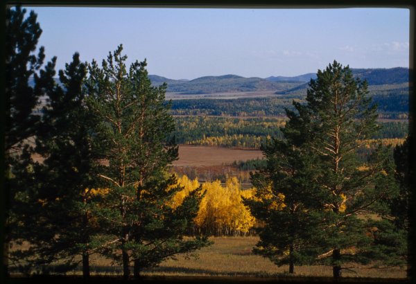 Лесостепь Забайкальский край