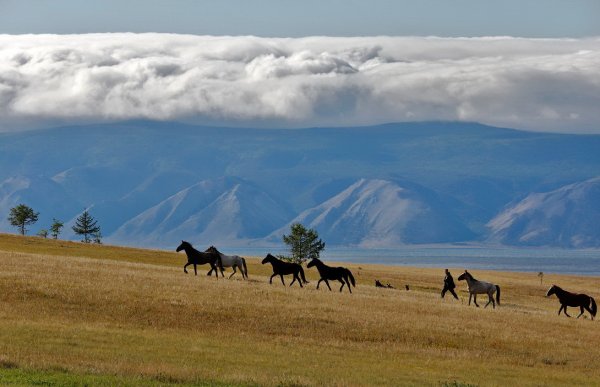 Александр Леснянский Забайкальский край