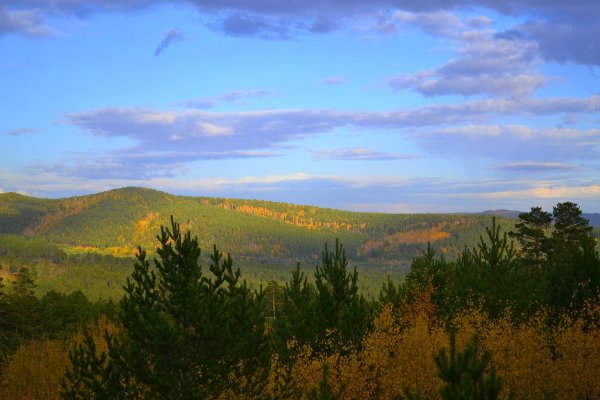 Яблоневый хребет Забайкальского края