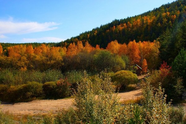 Забайкалье природа Забайкалья Россия