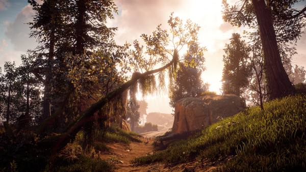 Horizon Zero Dawn природа