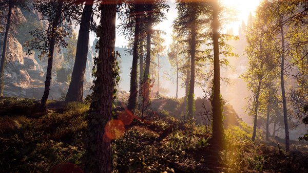 Horizon игра лес