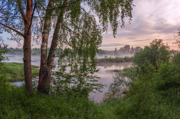 Река Ухтомица Кирилловский район