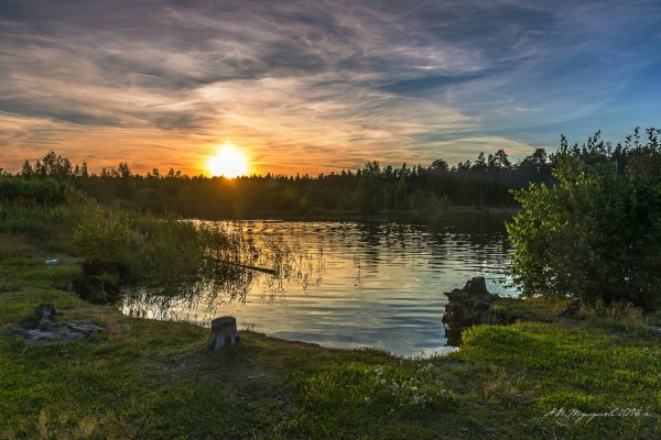 Дарвиновский заповедник Ярославская область
