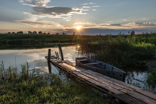 Природа Вологодской области Междуреченский район