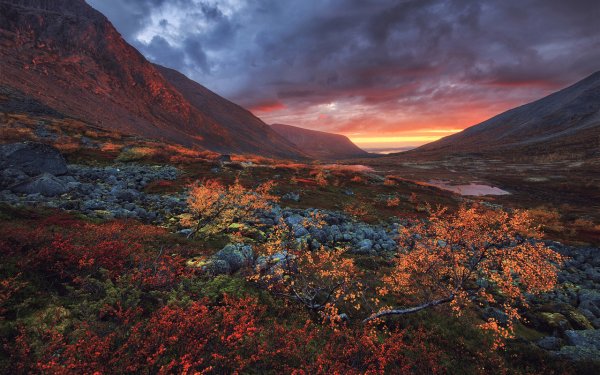 Кольский полуостров Хибины тундры