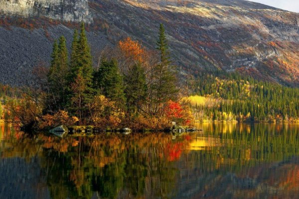 Природа севера осень