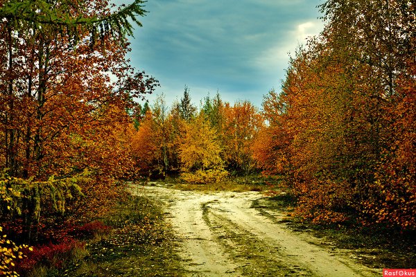 Осень в России