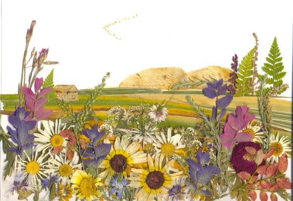 Флористические картины