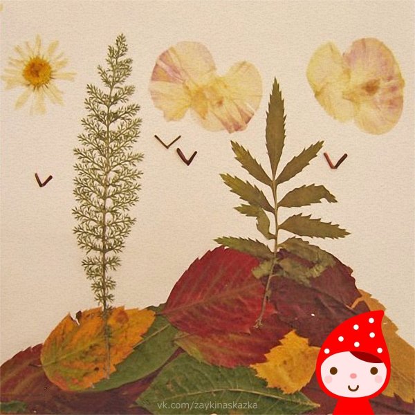 Аппликация из гербария