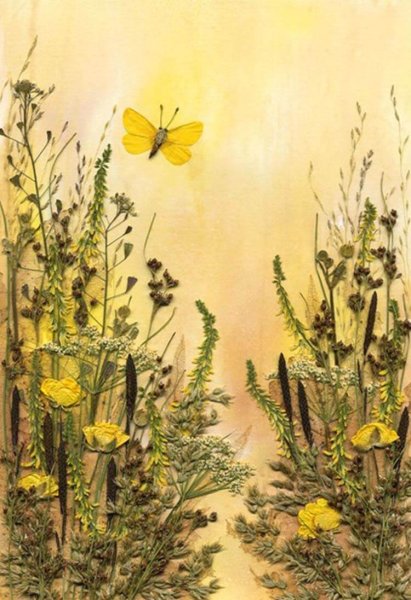 Ошибана картины из засушенных растений