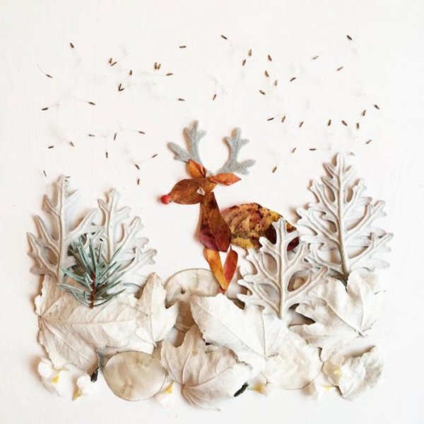 Бриджит Коллинз картины