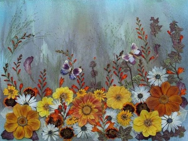 Аппликация из сухих трав и цветов