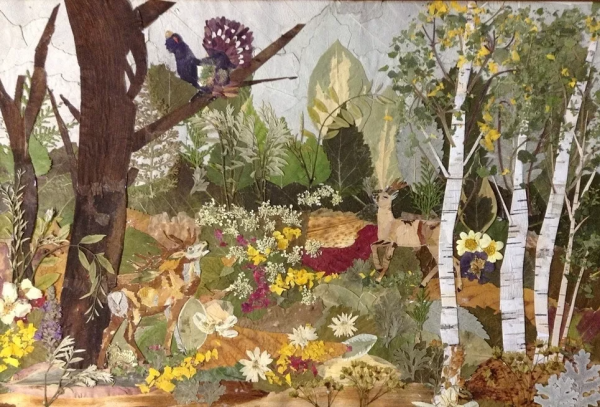 Ошибана Африка