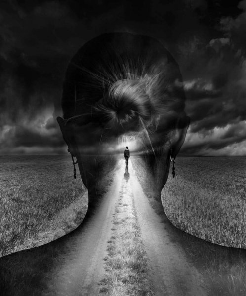 Человек над природой