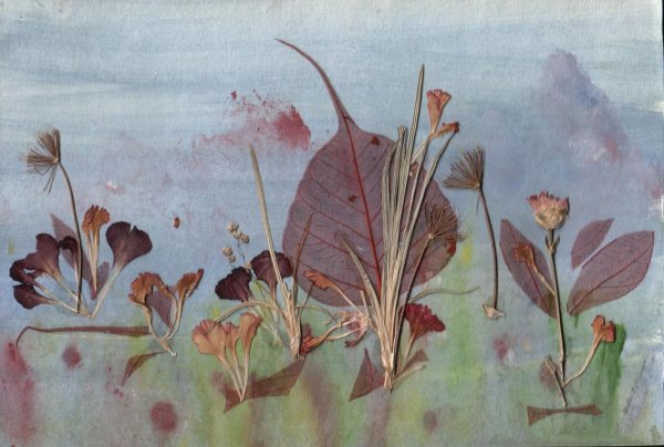 Гербарий композиции из засушенных растений