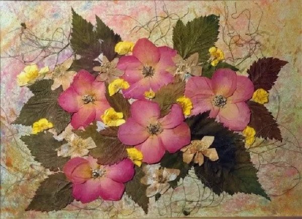 Ошибана аппликация из растений