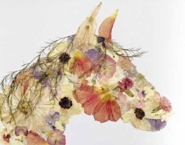 Японская техника ошибана картины из растений