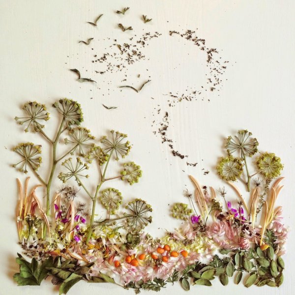 Ошибана из одуванчиков