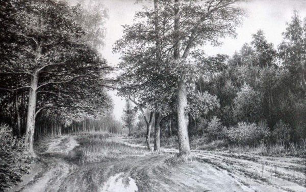 Толстиков Виталий художник карандаш