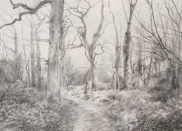 Пейзажи графитом