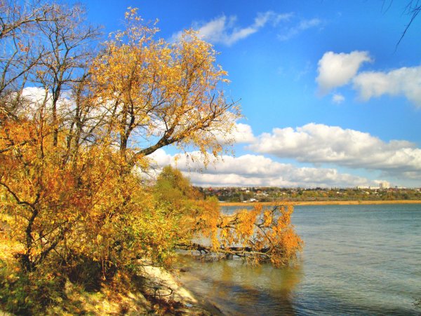 Река Дон осенью