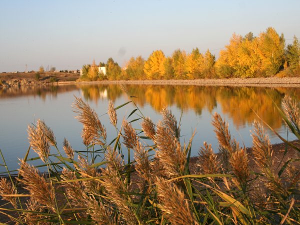 Осень села Липецкой области