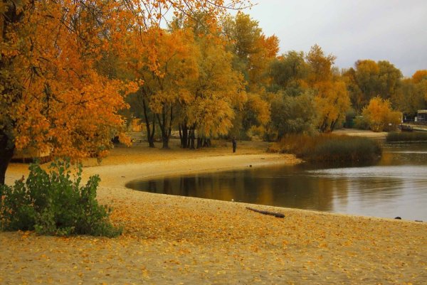 Ростовская область осень