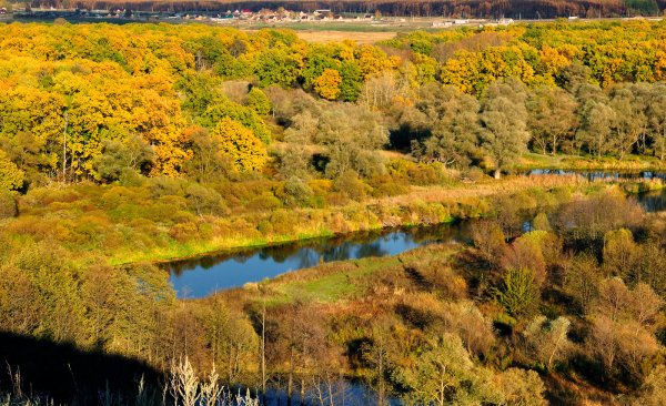 Воронеж река Усмань осень