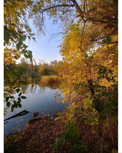 Парк им октября Ростов-на-Дону