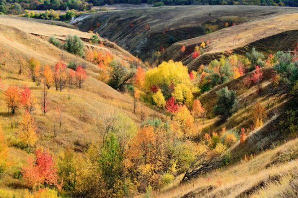 Осень в Ростове на Дону