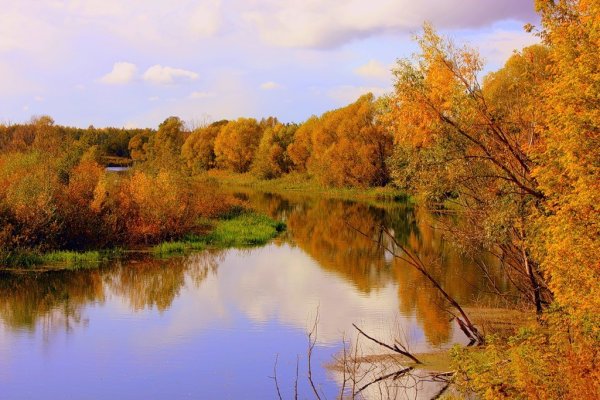 Золотая осень природа река