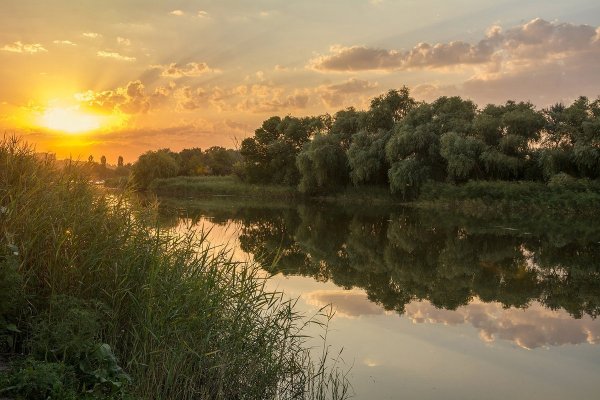 Красота Донского края
