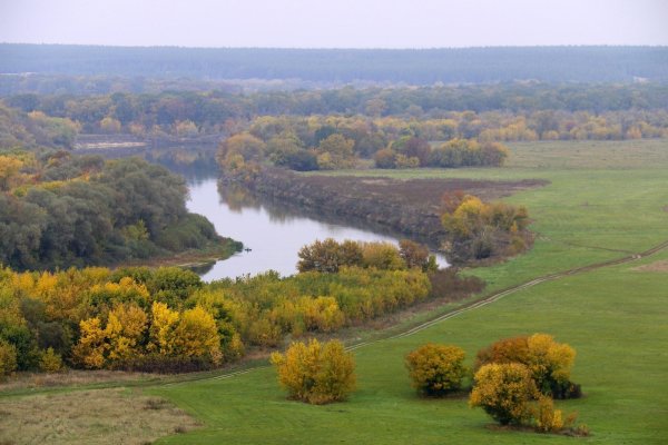 Осень река деревья