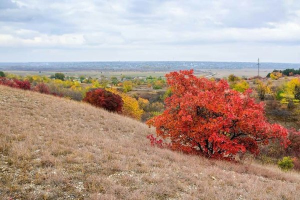 Верхотурье осенью