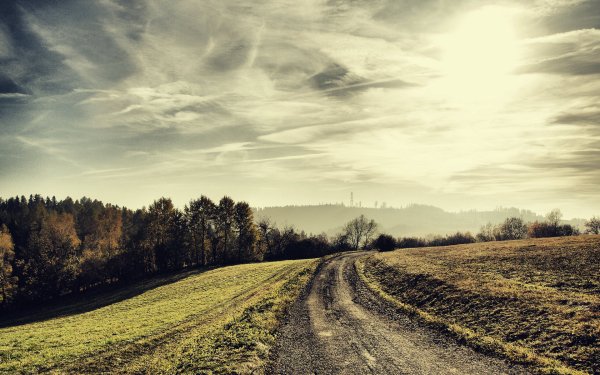 Осеннее поле