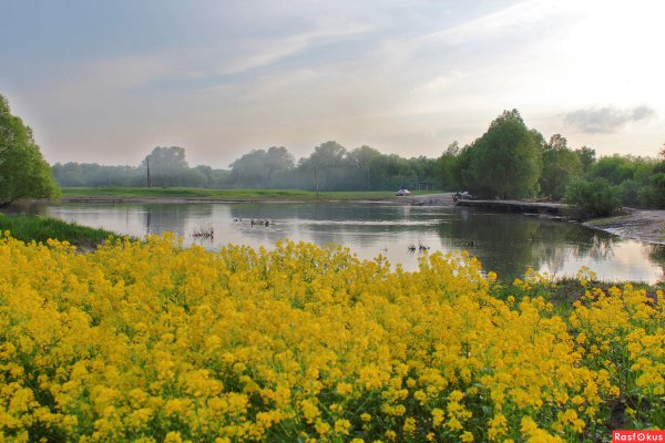 Природа Брянской области