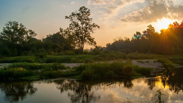 Река Нерусса Брянский лес