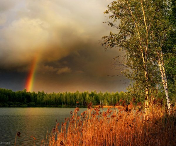 Природа Брянской области