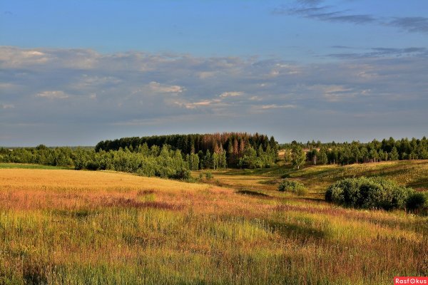 Поверхность земли Брянской области