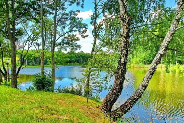 Брянская область лето