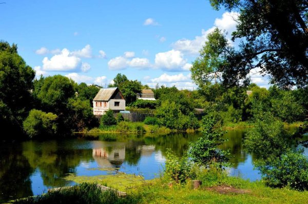 Река Ипуть Брянская область