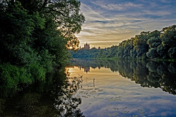 Брянский лес река Десна